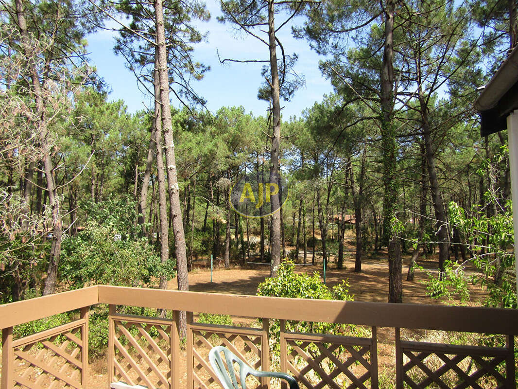 Maisonnette dans la pinède secteur sud - photo 2