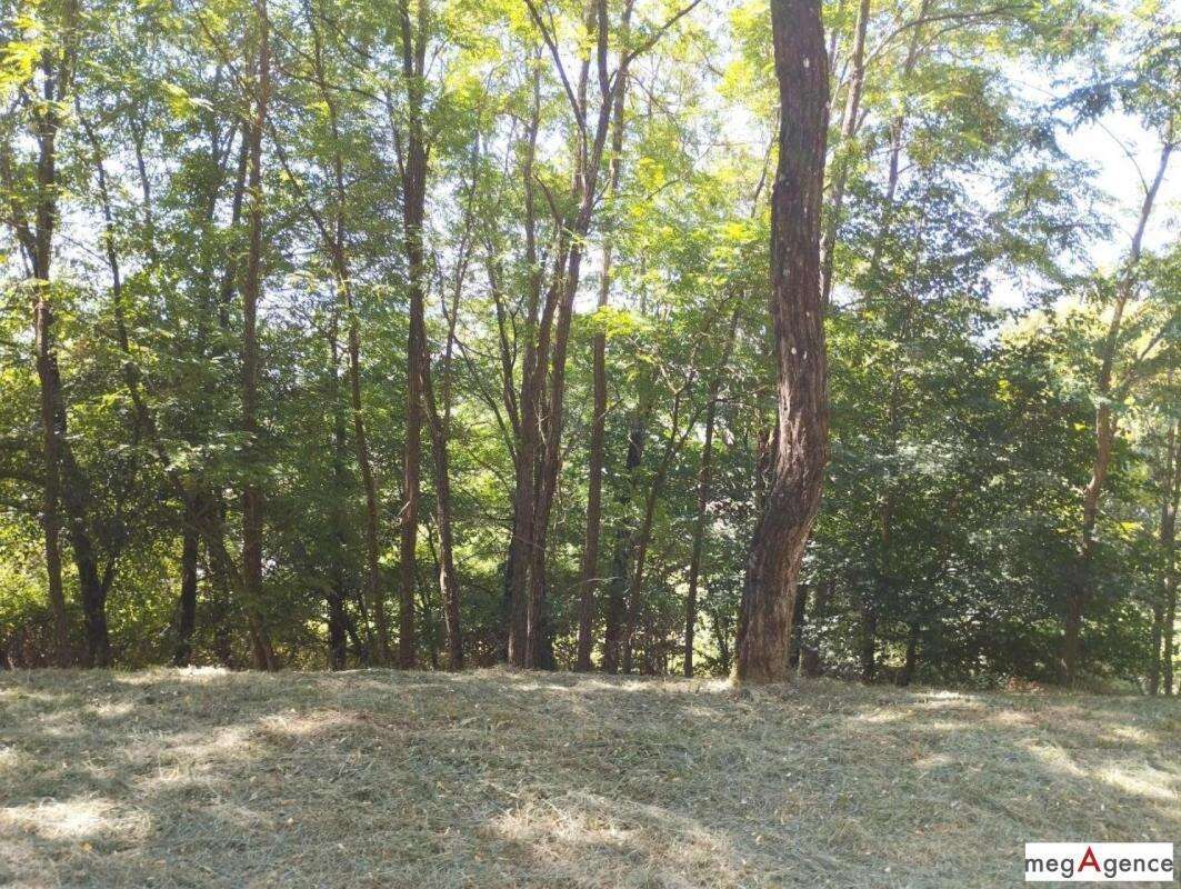 Barre-des-Cévennes – Maison 2 ch. + terrain - photo 7