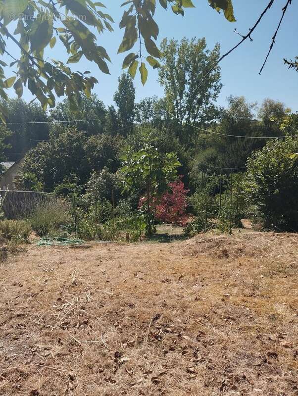 Montreuil bellay - photo 17