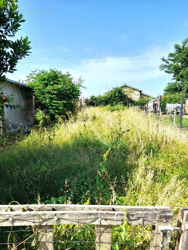Maison mitoyenne Créon d'Armagnac - photo 12