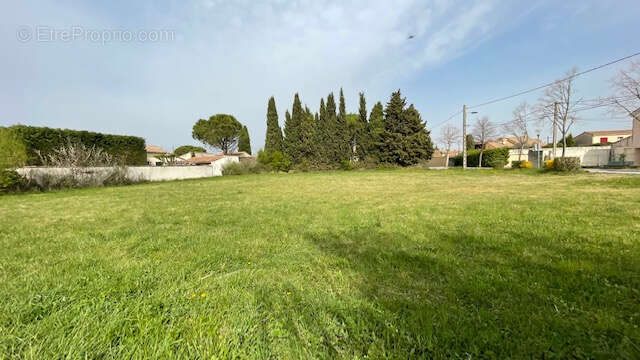 Terrain à ENTRAIGUES-SUR-LA-SORGUE