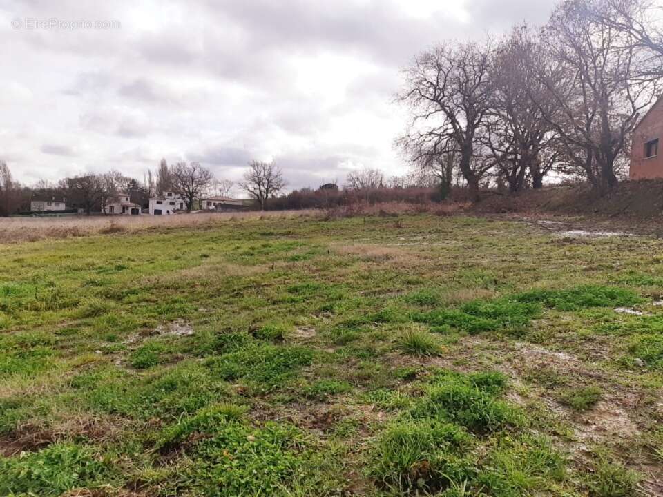 Terrain à GRAGNAGUE