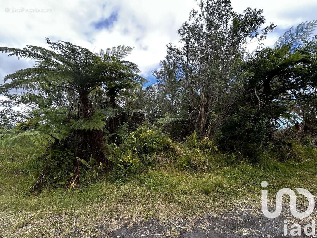 Photo 3 - Terrain à SAINT-JOSEPH