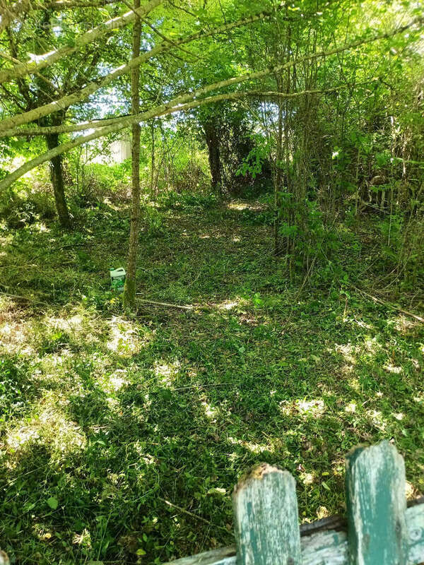 Terrain à BOURGANEUF
