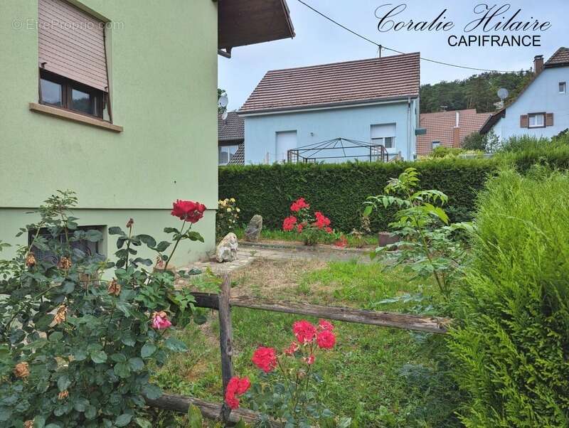 Maison à SONDERSDORF