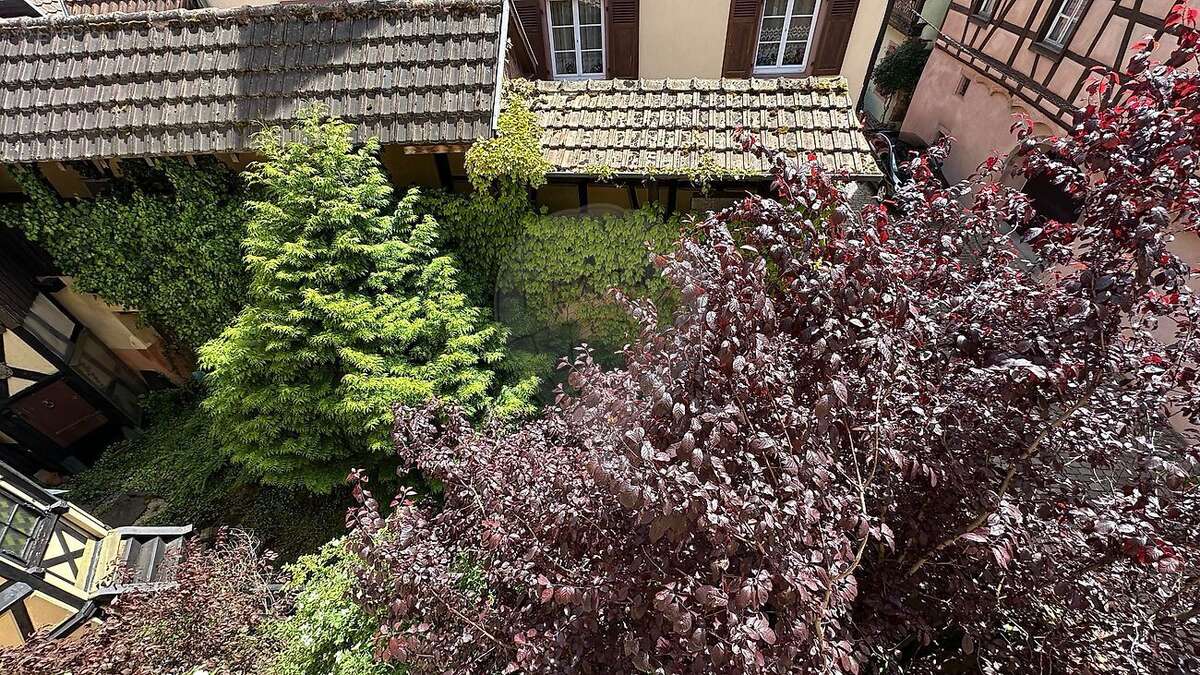 Maison 3 chambre(s) à vendre - photo 5