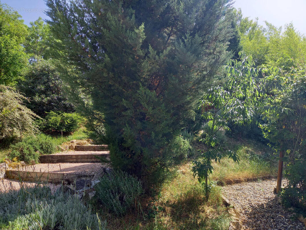 paysagé - Maison à ARCAMBAL