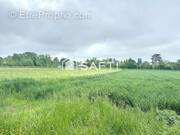 Photo 1 - Terrain à SAINT-SYMPHORIEN