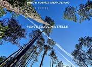 Appartement à HOSSEGOR