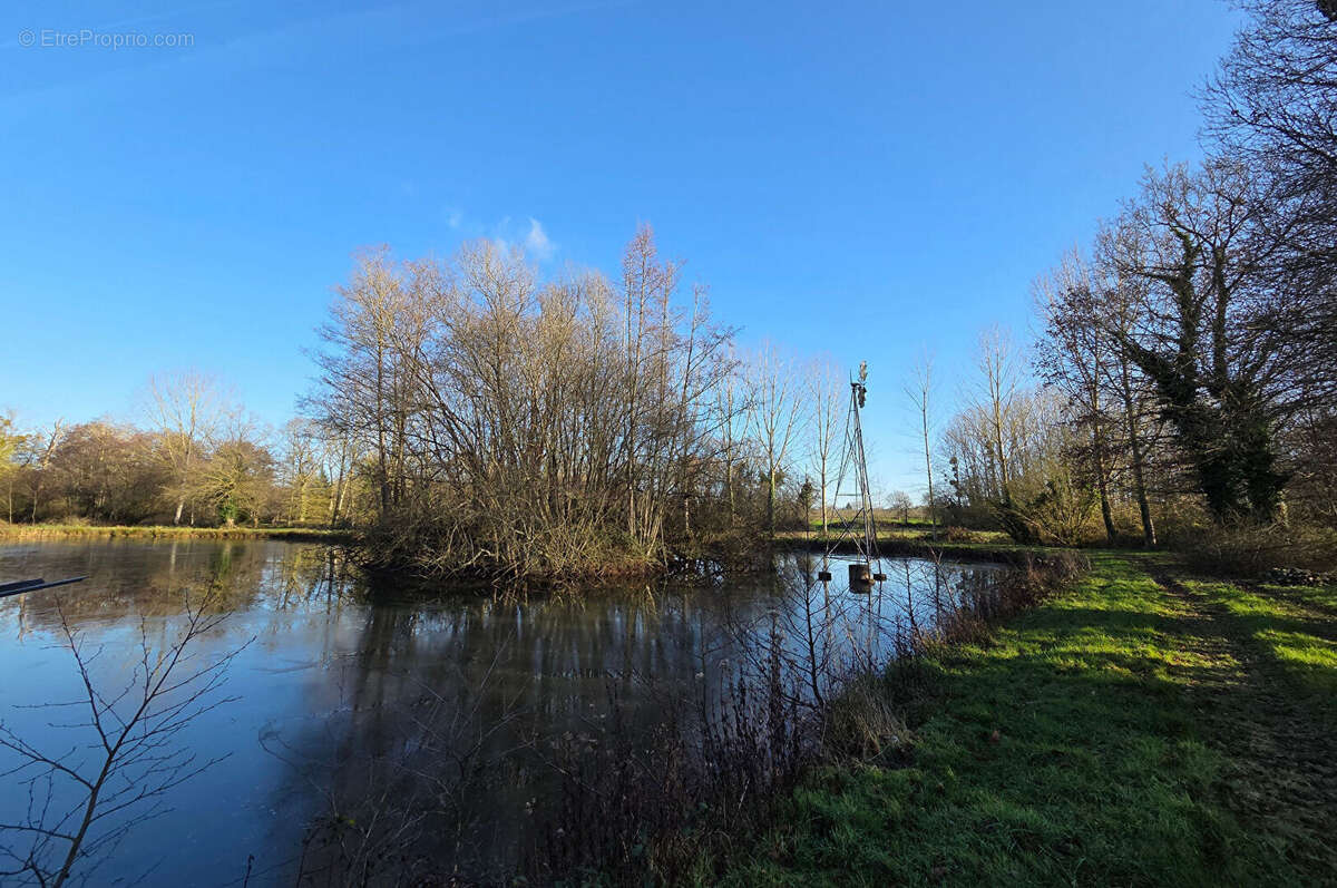 Terrain à SAINT-JUDOCE