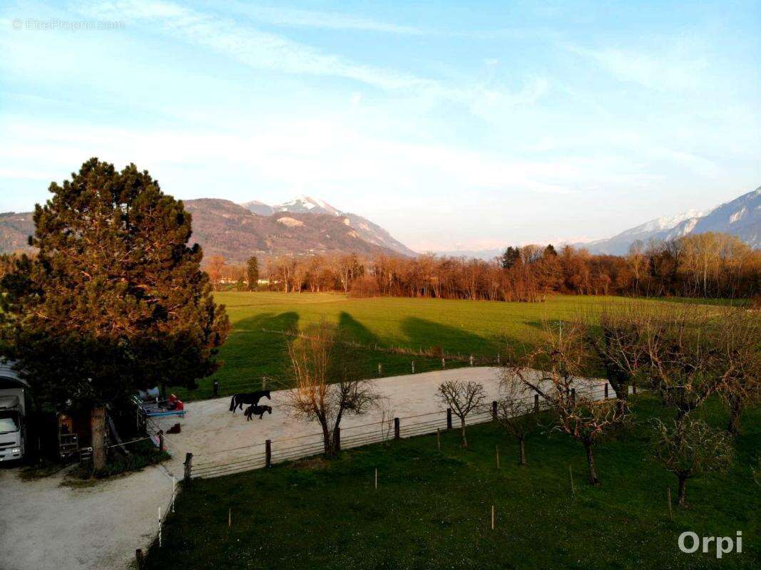 Arenthon-Propriété de caractère avec vue Mont-Blanc, espace équestre et potentiel exceptionnel - photo 6