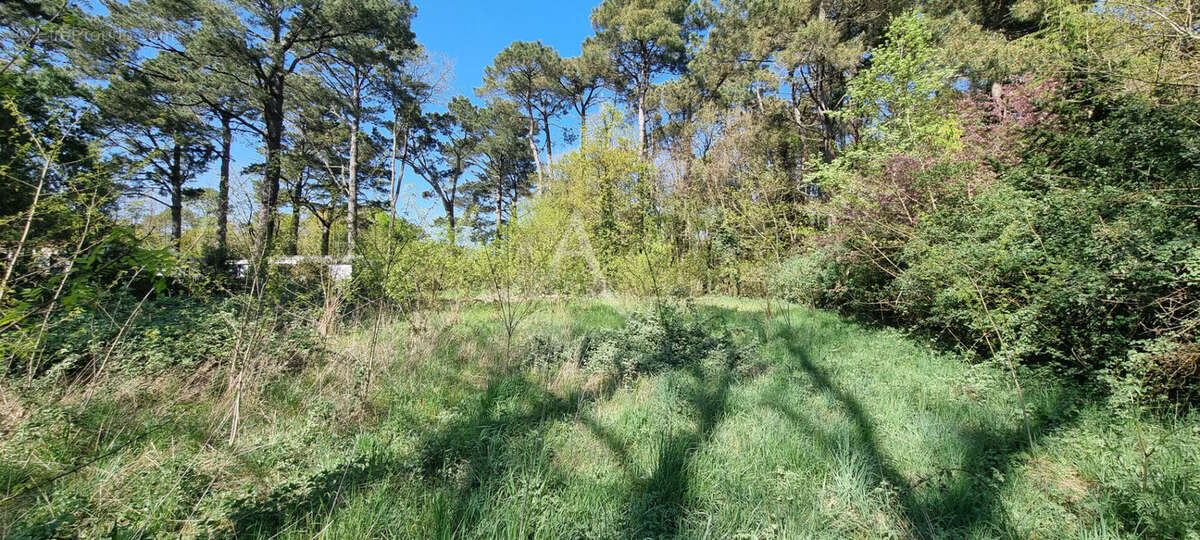 Terrain à SAINT-HILAIRE-DE-RIEZ