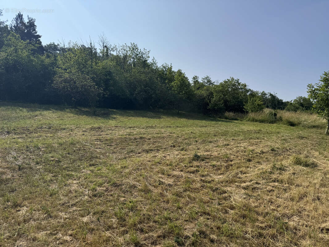 Terrain à VIC-LE-COMTE