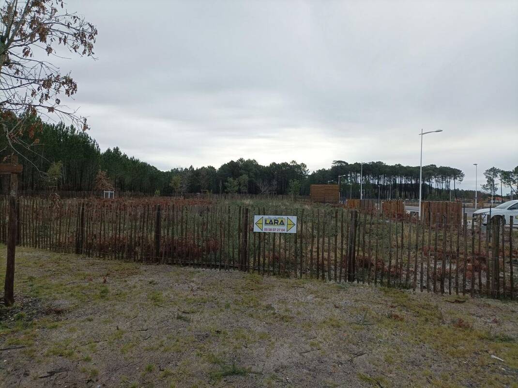 Terrain à BISCARROSSE