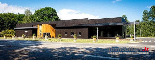 Commerce à CHATENOIS