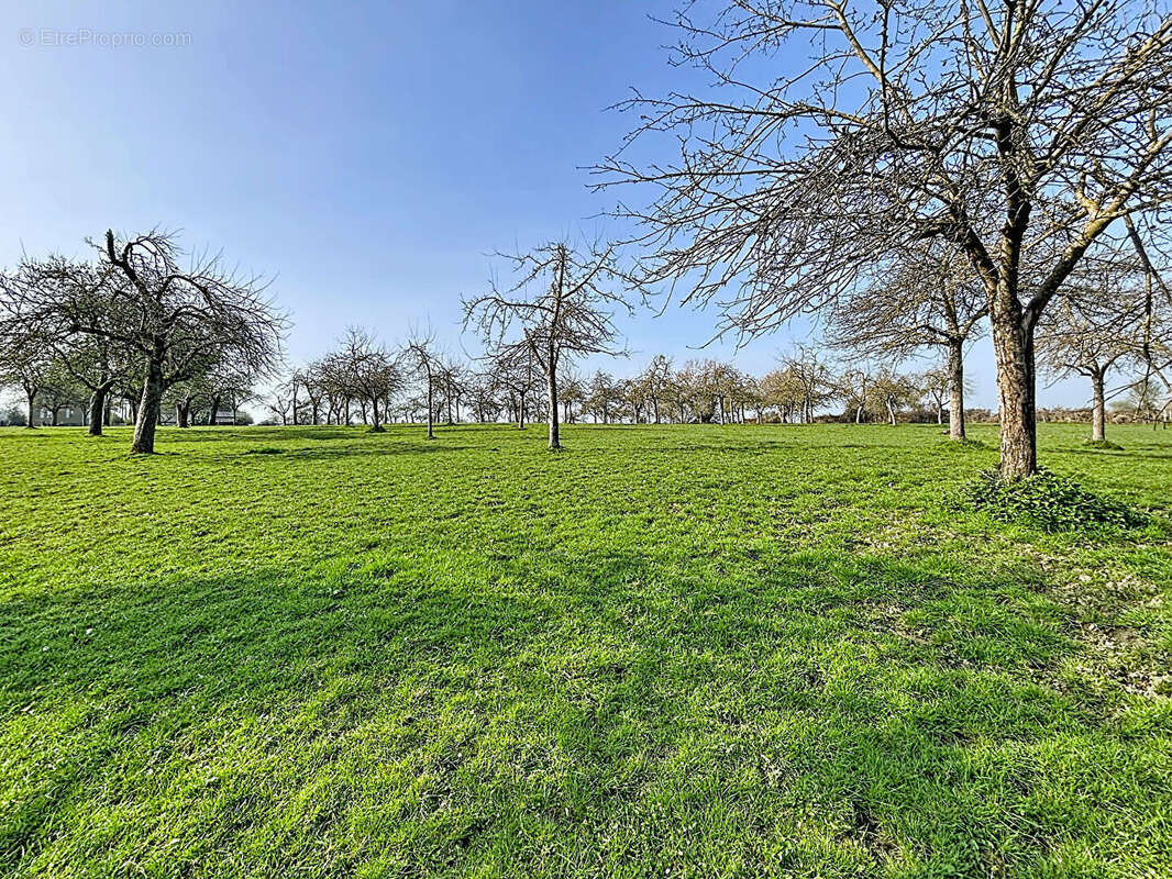 Maison à LE MESNIL-DURAND