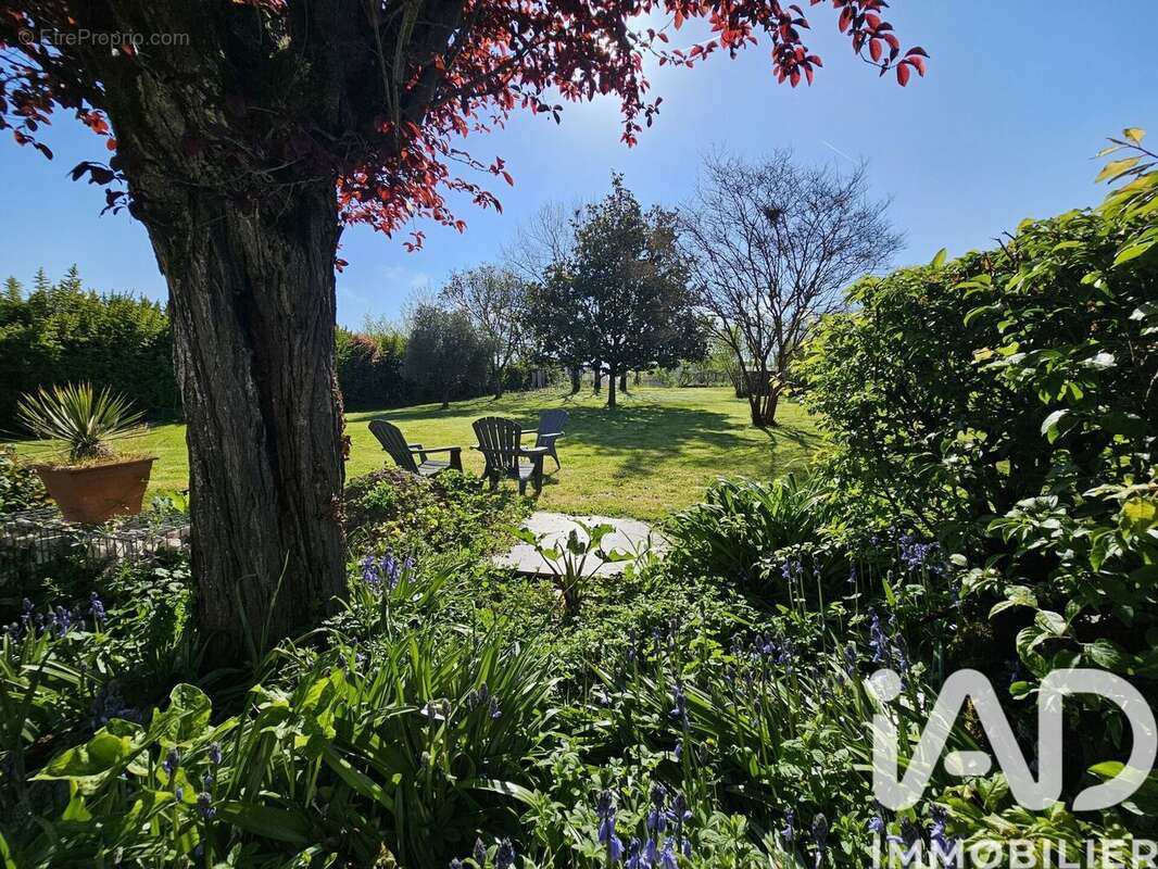 Photo 2 - Maison à CASTELSARRASIN