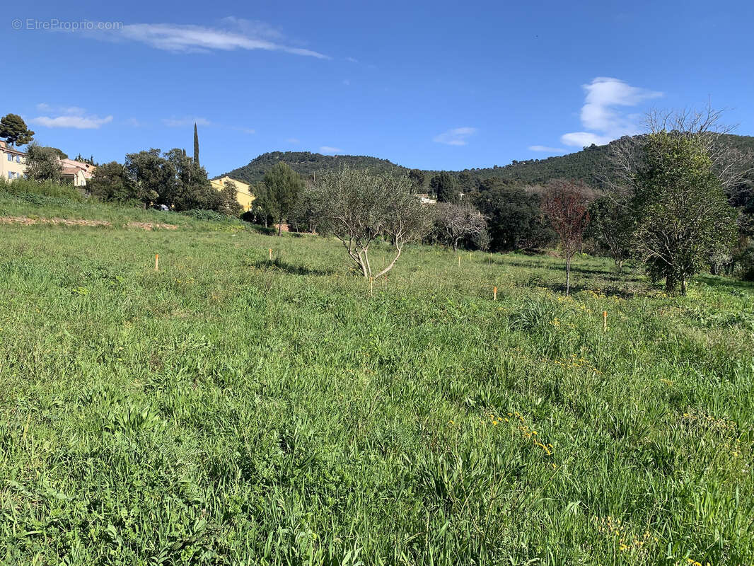 Terrain à LE PRADET