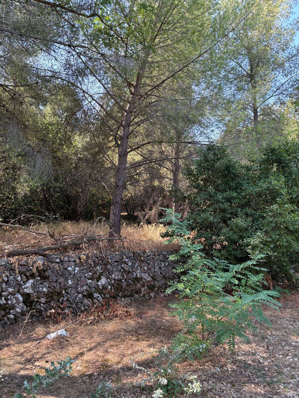 Terrain à LA VALETTE-DU-VAR