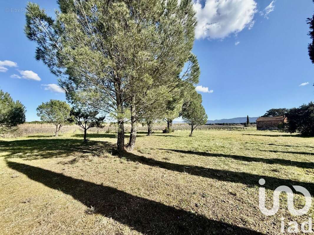 Photo 3 - Maison à LE CANNET-DES-MAURES