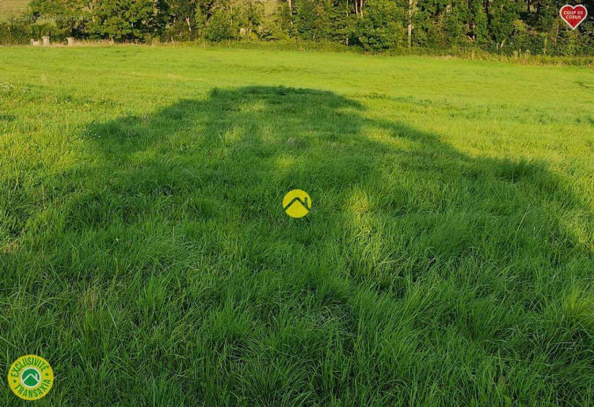 Terrain à SAINT-MENOUX