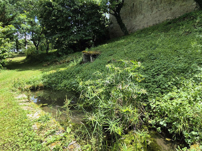 A vendre maison en Pierre - Dépendances – 1 Hectare – 32700 Castéra-Lectourois, Gers - photo 5