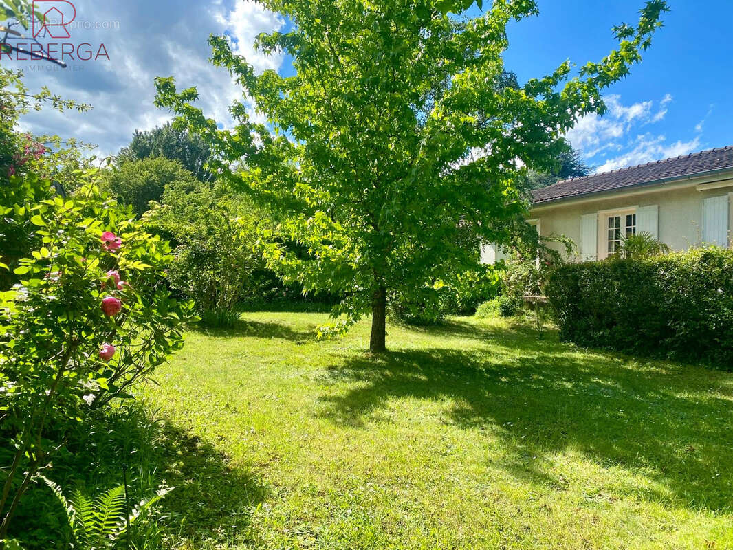 Maison à MAZAMET