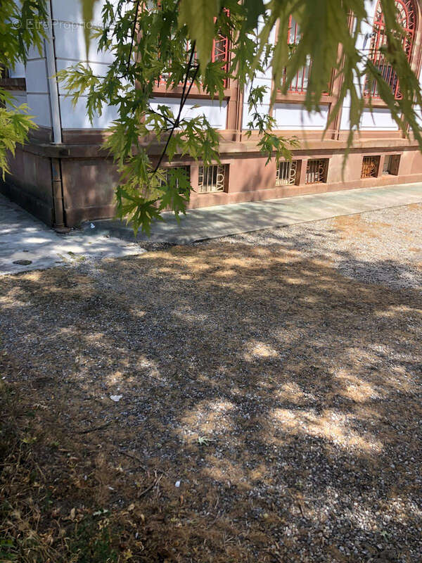 Commerce à SAINT-LOUIS