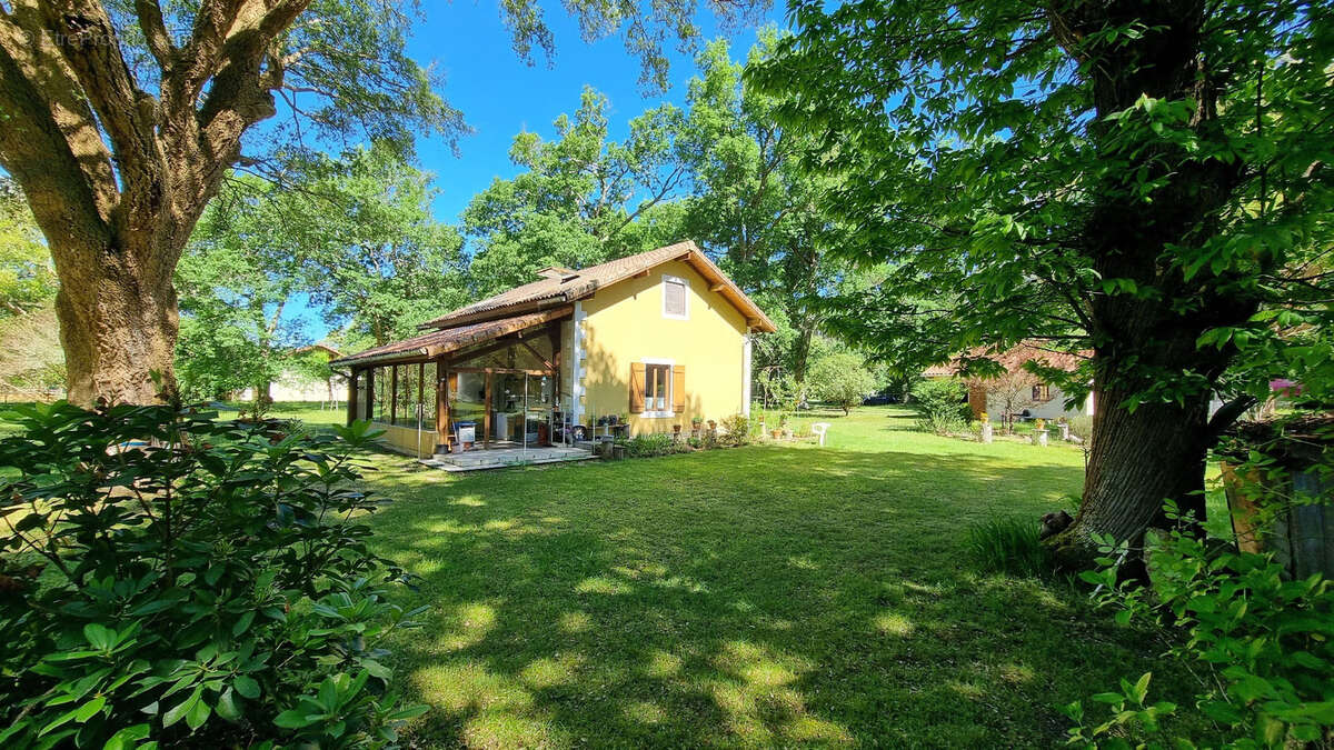 Maison de charme au cœur de la forêt landaise   Lévignacq - photo 16