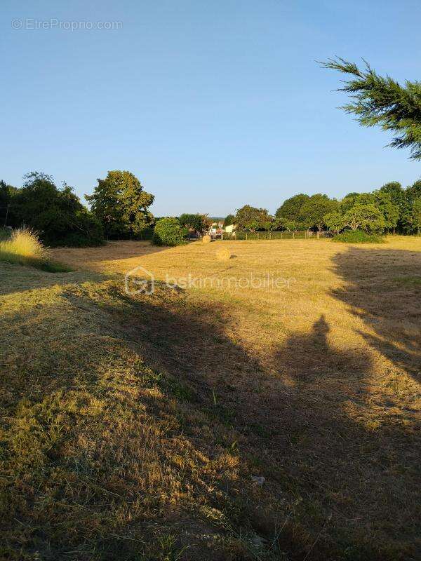 TERRAIN à saisir - photo 5