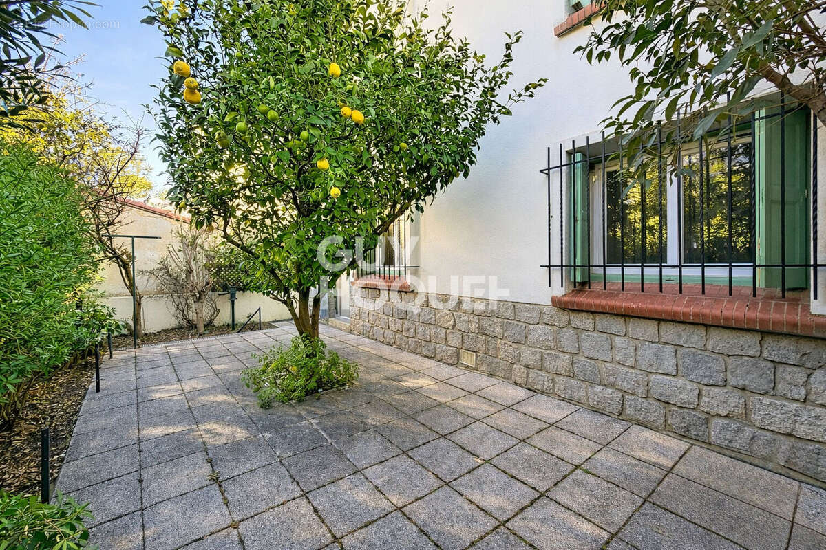 Maison de ville 126 m² - 4 chambres - A vendre à Perpignan (66000) Quartier Saint-Assiscle - photo 2