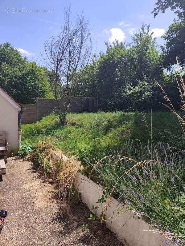 Photo 7 - Maison à COUFFY