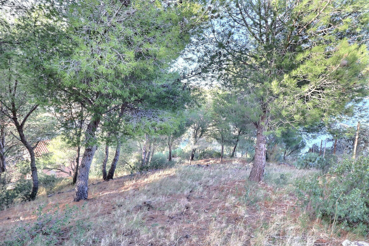 Terrain à CERBERE