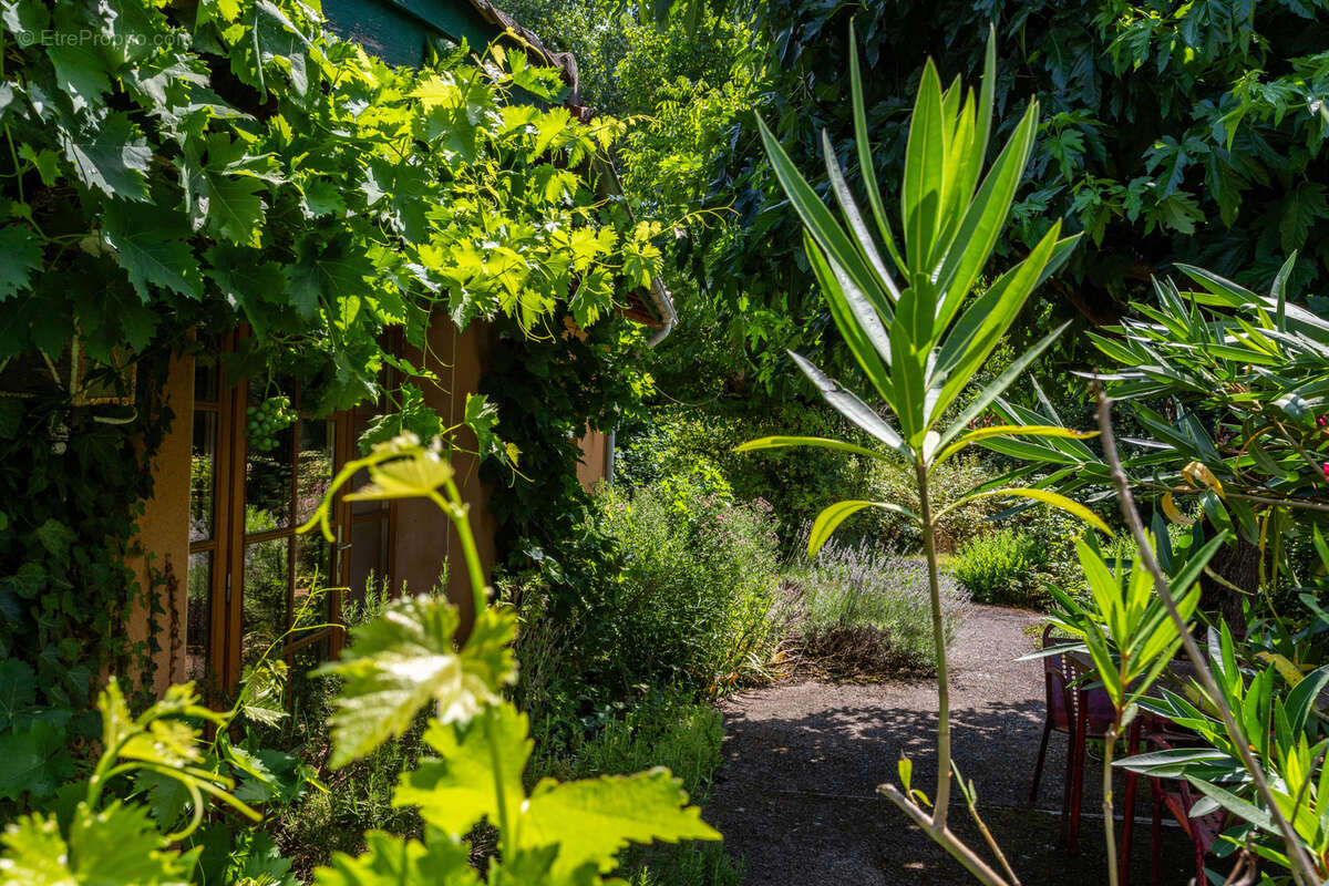 Propriété de campagne avec gîte et piscine - photo 24