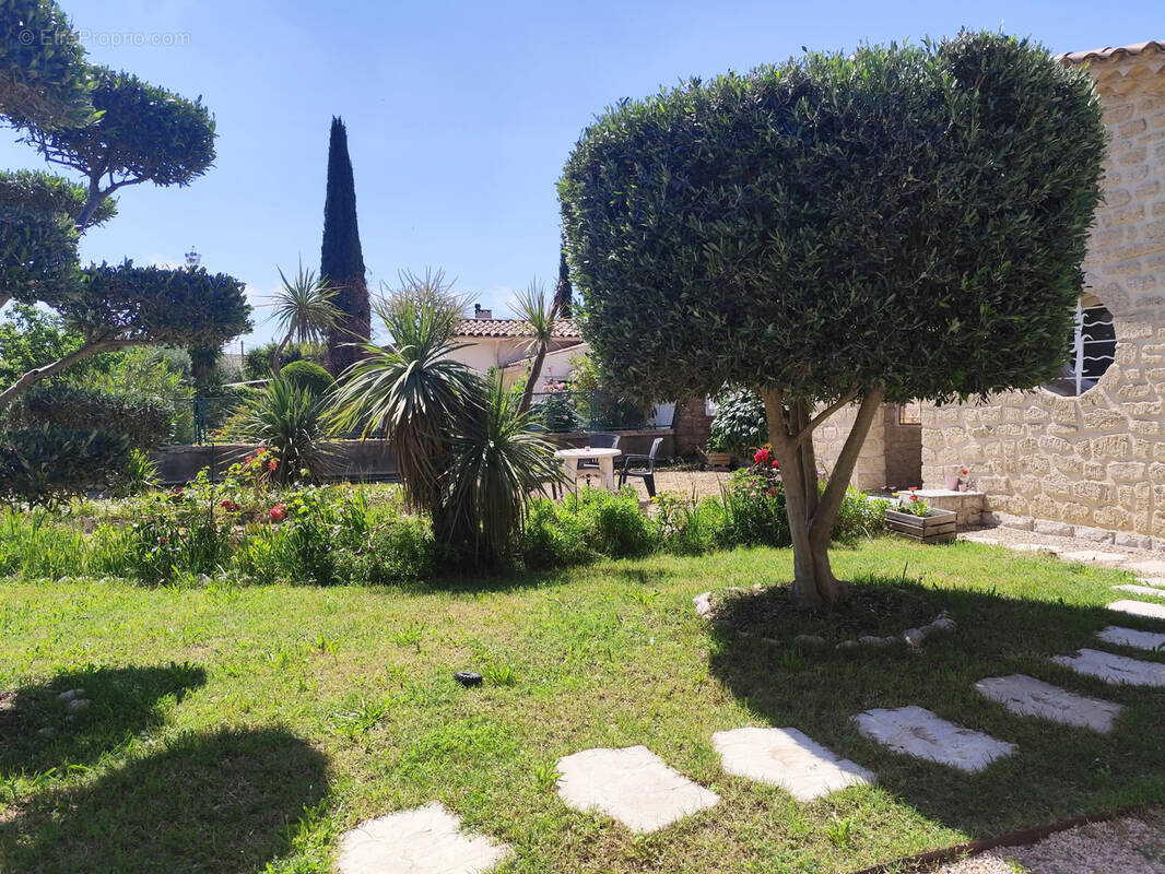 Maison à MONTPELLIER