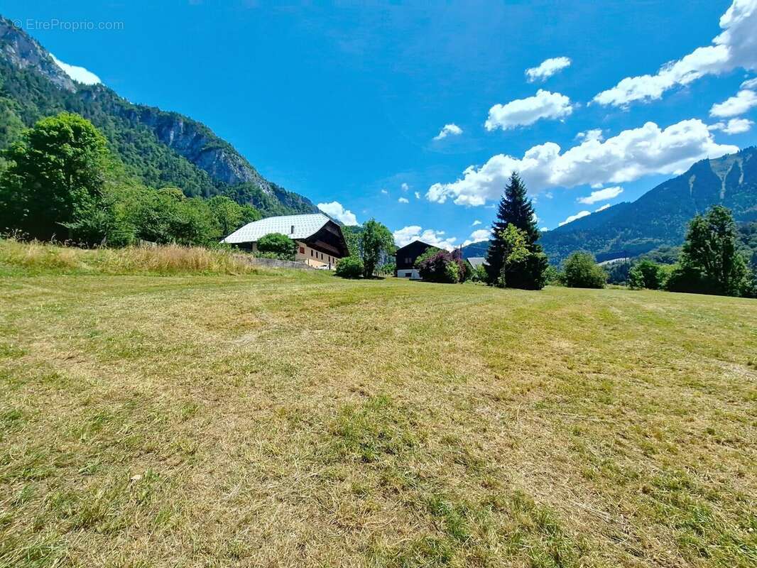 Terrain à ABONDANCE