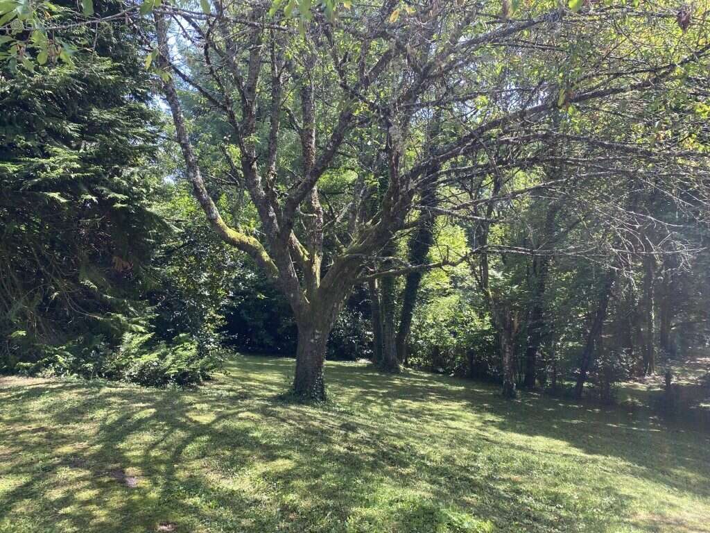 Maison 40 m² à Saint-Gilles-Les-Forets  - photo 5