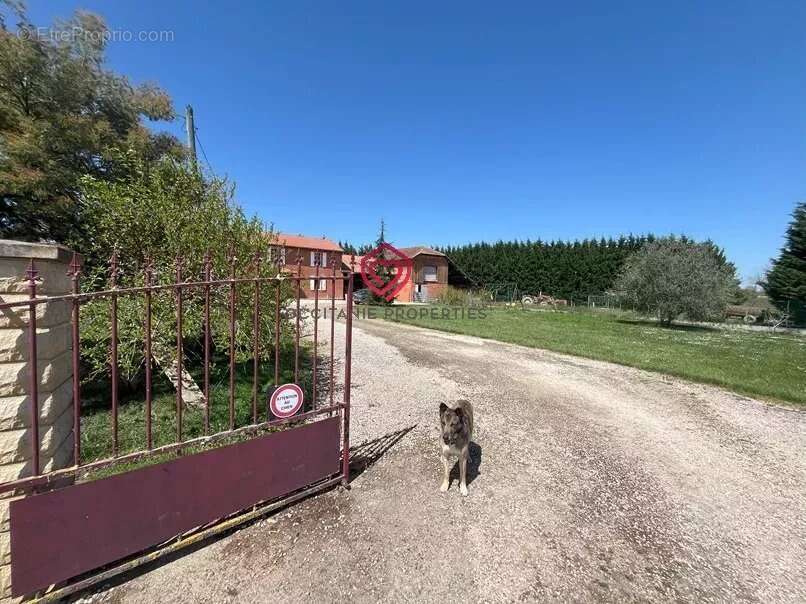 Ferme avec vue Pyrénées dégagée - photo 4