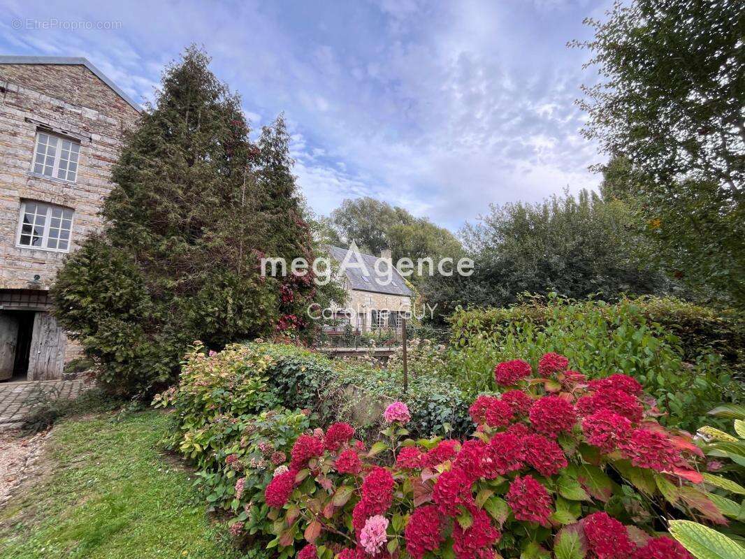 Maison à BLENDECQUES