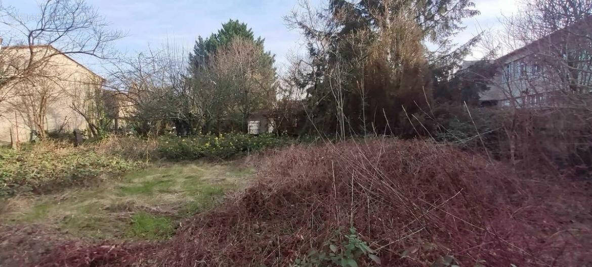 Terrain à MARINGUES