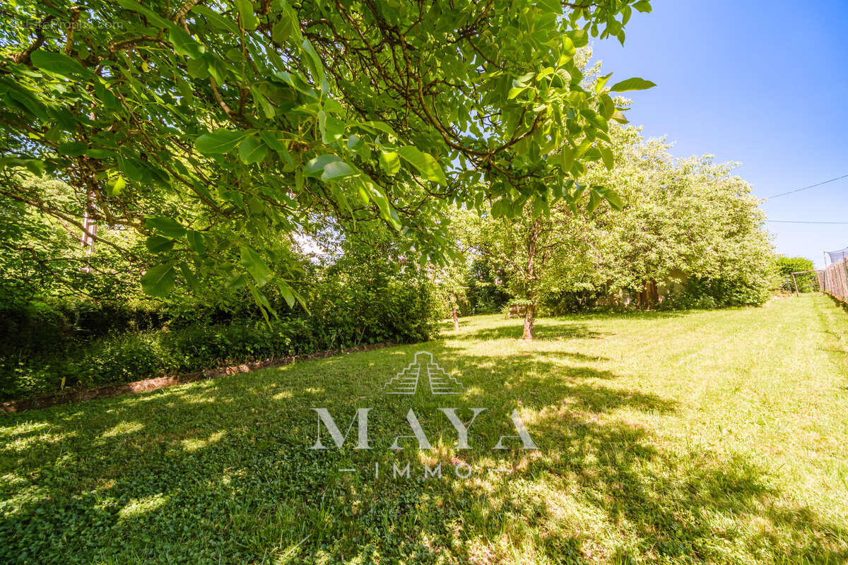 DANNEMARIE, Maison plain-pied de 81m2 sur 12,44 ares. - photo 14