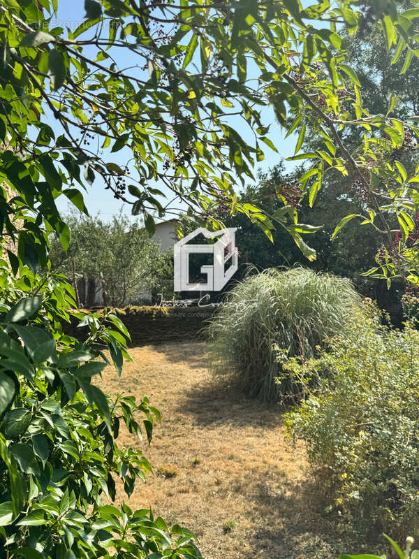 Maison à SAINTE-JULIETTE-SUR-VIAUR