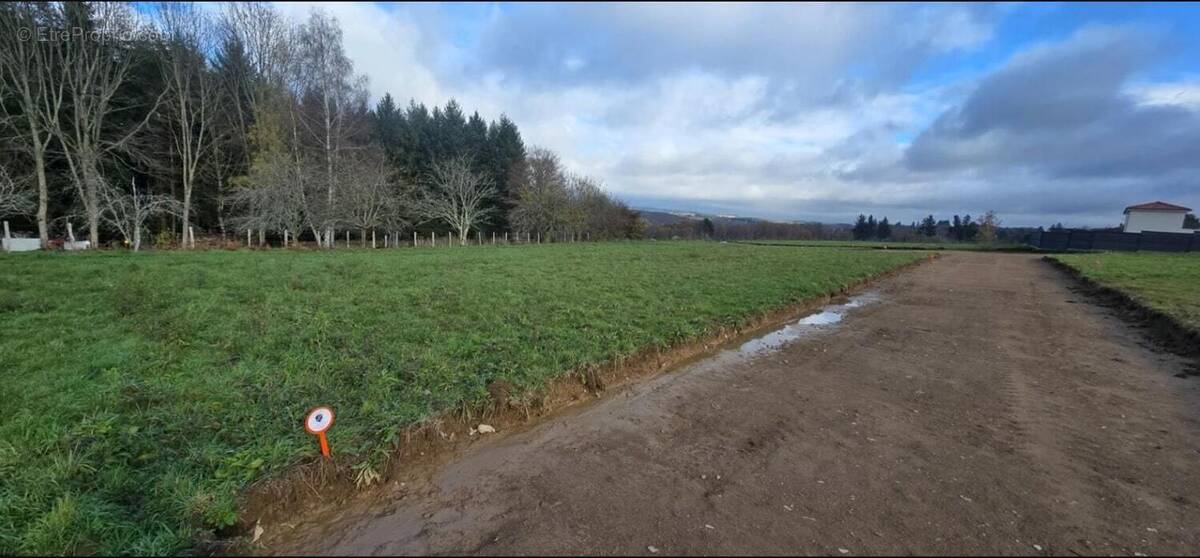 Terrain à VENDEUVRE-DU-POITOU
