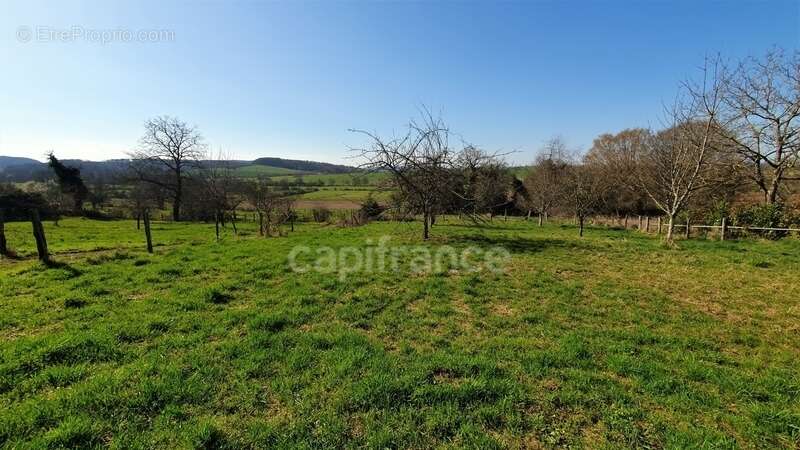 Maison à vendre 3 pièces CHATENOIS (70) - photo 2