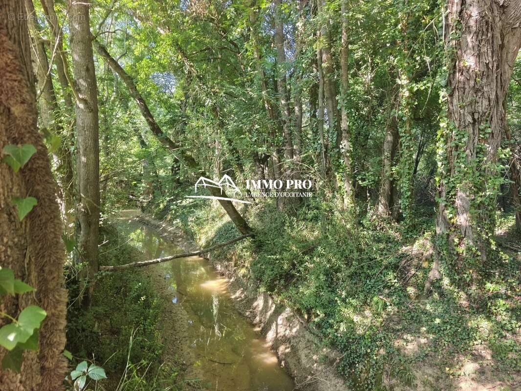A rénover Moulin XVIIIe & Grange sur 5HA - photo 6