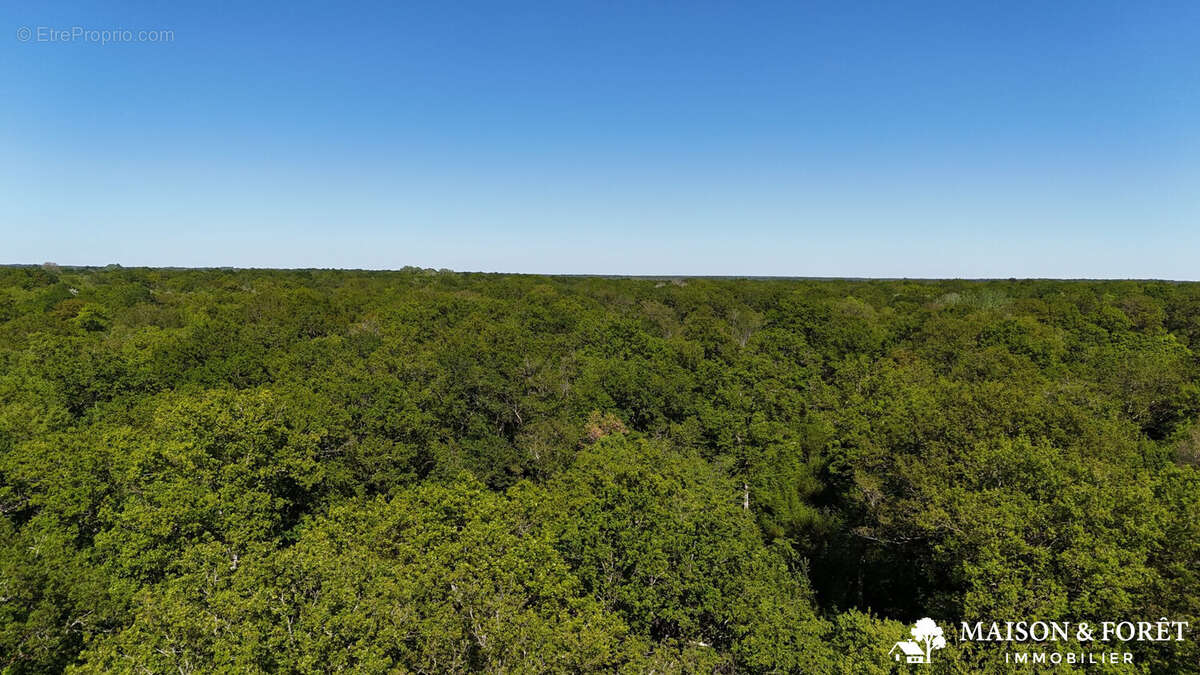 Terrain à OUZOUER-SUR-TREZEE