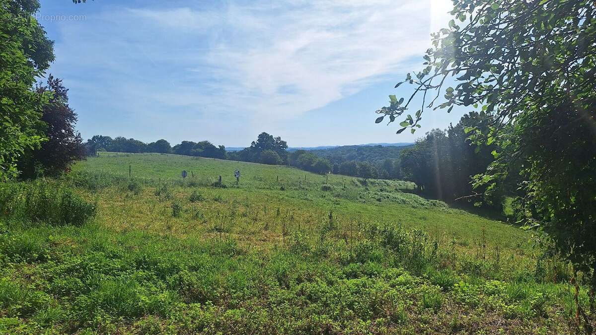 Ancien corps de ferme  T4 /5 sur 5500m² de terrain - photo 7