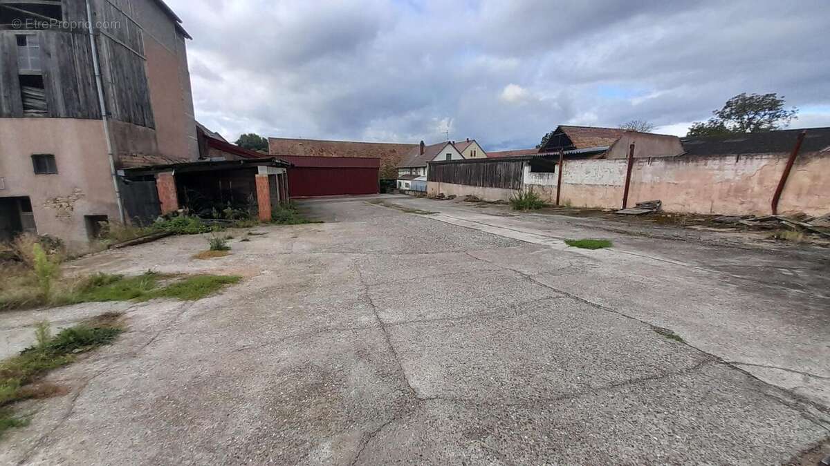 Photo 7 - Terrain à MITTELSCHAEFFOLSHEIM