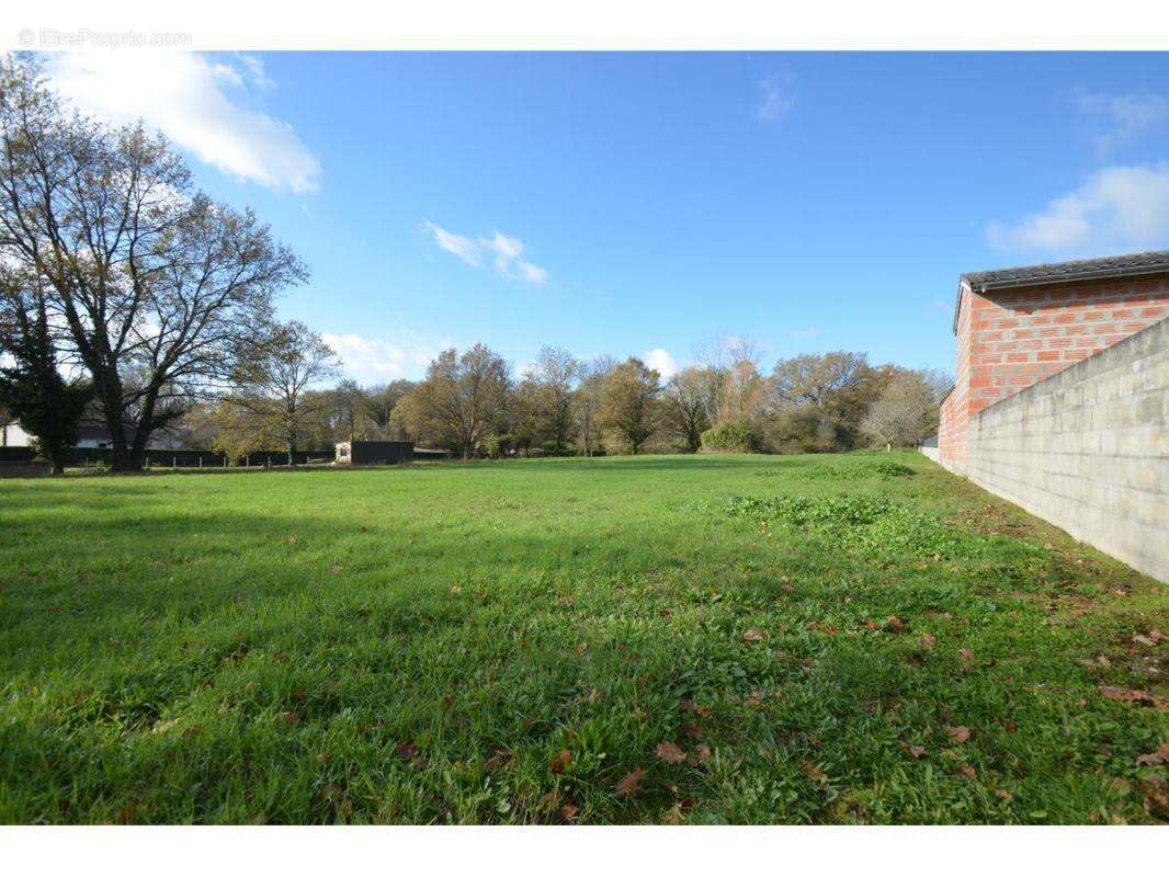 Terrain à PORCHERES