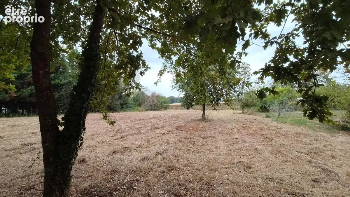 Terrain à LE HOUGA